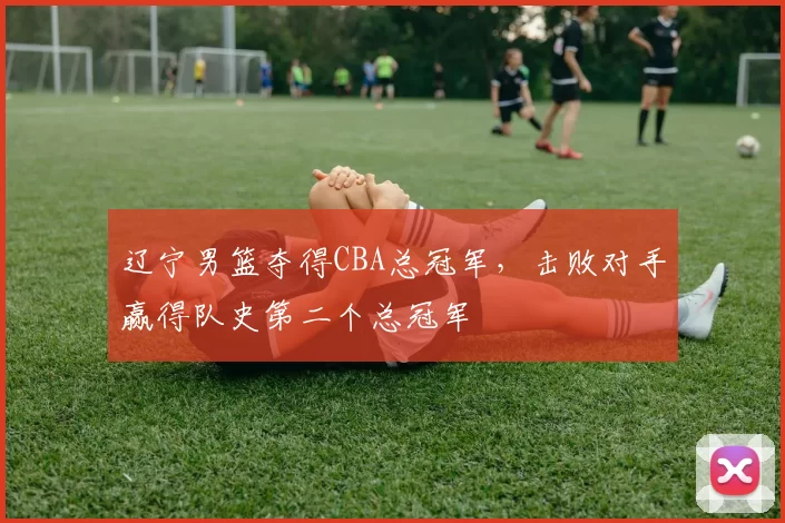 辽宁男篮夺得CBA总冠军，击败对手赢得队史第二个总冠军