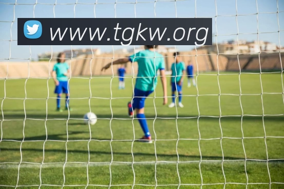 九游体育官网登录入口平台生态图