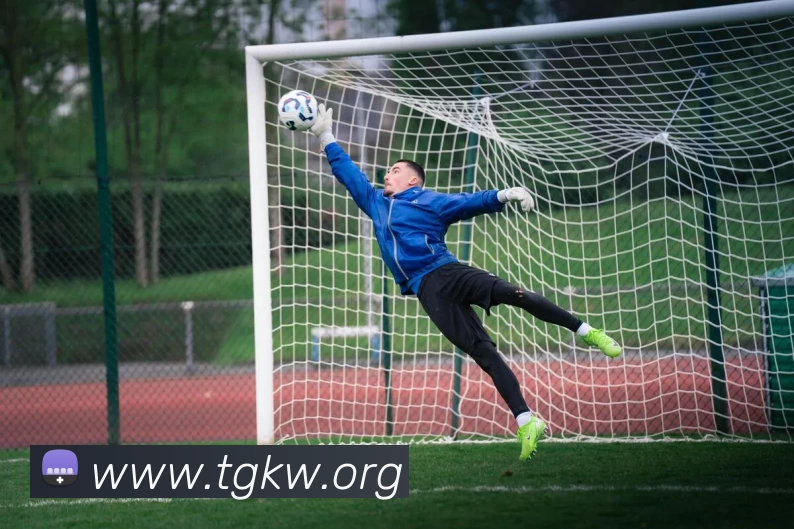 九游体育官网登录入口全站App 九游体育官网登录入口全站App